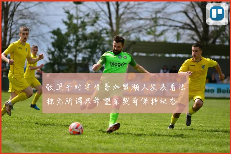 张卫平对字母哥加盟湖人发表看法称无所谓只希望东契奇保持状态