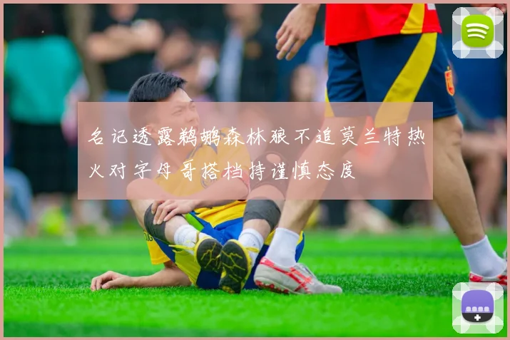 名记透露鹈鹕森林狼不追莫兰特热火对字母哥搭档持谨慎态度